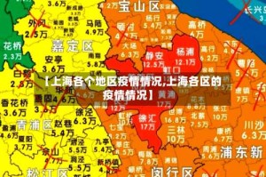 【上海各个地区疫情情况,上海各区的疫情情况】