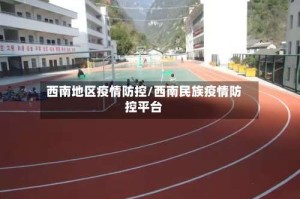 西南地区疫情防控/西南民族疫情防控平台
