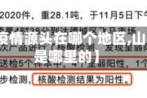 【山东疫情源头在哪个地区,山东疫情是哪里的】