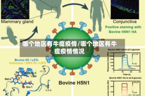 哪个地区有牛瘟疫情/哪个地区有牛瘟疫情情况
