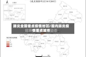 肺炎全国重点疫情地区/国内肺炎疫情重点城市