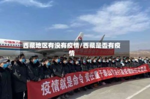 西藏地区有没有疫情/西藏是否有疫情