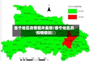 各个地区疫情图片最新/各个地区的疫情情况