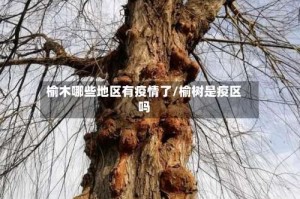 榆木哪些地区有疫情了/榆树是疫区吗