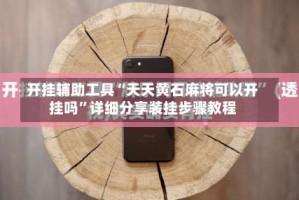 开挂辅助工具“天天黄石麻将可以开挂吗”详细分享装挂步骤教程