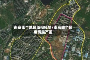 南京哪个地区防控疫情/南京那个区疫情最严重