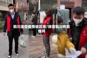 铜川是否疫情地区呢/陕西铜川有疫情吗