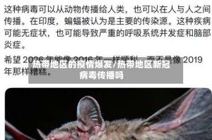 热带地区的疫情爆发/热带地区新冠病毒传播吗