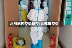 北部地区疫情防控/北部湾疫情