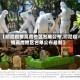【印尼疫情高危地区名单公布,印尼疫情高危地区名单公布最新】