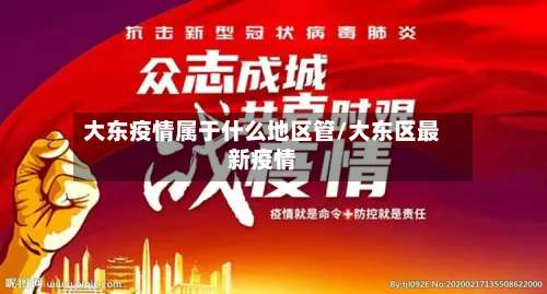 大东疫情属于什么地区管/大东区最新疫情-第3张图片