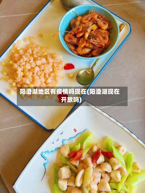阳澄湖地区有疫情吗现在(阳澄湖现在开放吗)-第2张图片