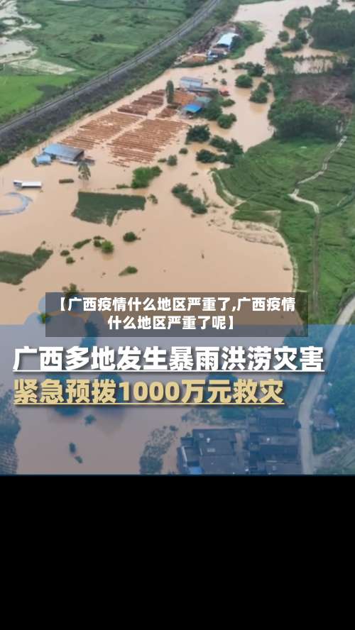 【广西疫情什么地区严重了,广西疫情什么地区严重了呢】-第2张图片