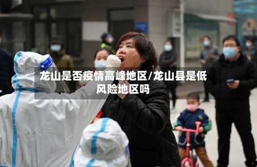 龙山是否疫情高峰地区/龙山县是低风险地区吗-第2张图片