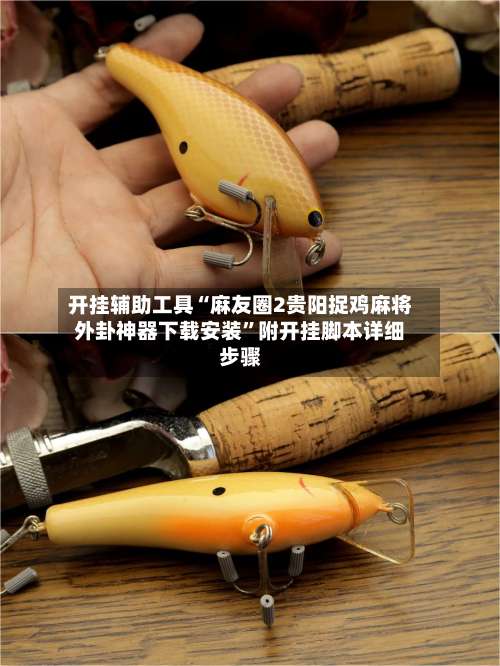 开挂辅助工具“麻友圈2贵阳捉鸡麻将外卦神器下载安装”附开挂脚本详细步骤-第2张图片