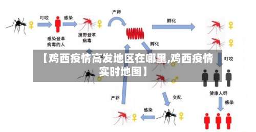【鸡西疫情高发地区在哪里,鸡西疫情实时地图】-第1张图片