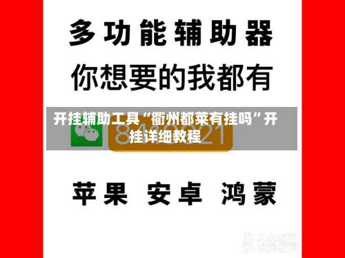 开挂辅助工具“衢州都莱有挂吗”开挂详细教程-第2张图片