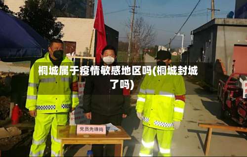 桐城属于疫情敏感地区吗(桐城封城了吗)-第1张图片