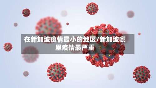 在新加坡疫情最小的地区/新加坡哪里疫情最严重-第1张图片