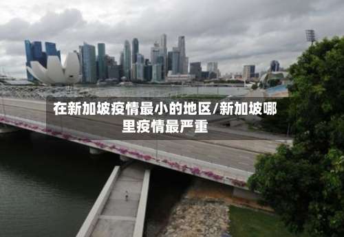 在新加坡疫情最小的地区/新加坡哪里疫情最严重-第2张图片