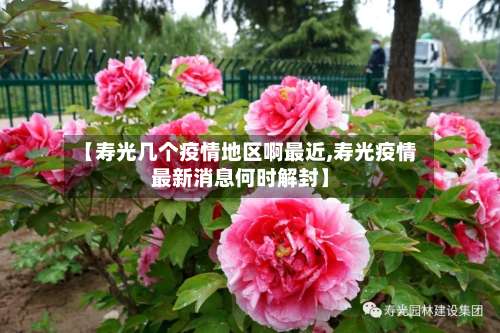 【寿光几个疫情地区啊最近,寿光疫情最新消息何时解封】-第2张图片