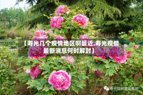 【寿光几个疫情地区啊最近,寿光疫情最新消息何时解封】-第3张图片