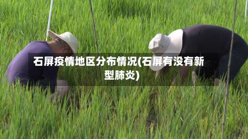 石屏疫情地区分布情况(石屏有没有新型肺炎)-第3张图片