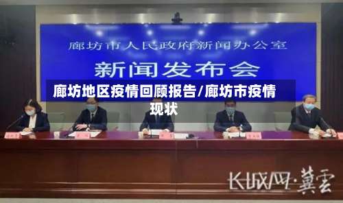 廊坊地区疫情回顾报告/廊坊市疫情现状-第2张图片