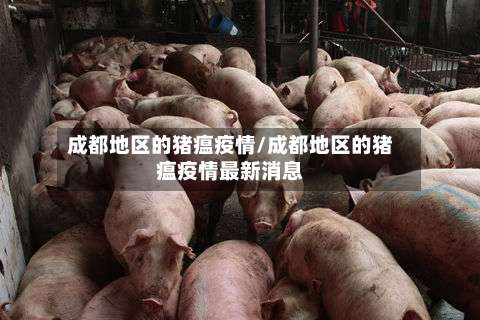 成都地区的猪瘟疫情/成都地区的猪瘟疫情最新消息-第1张图片