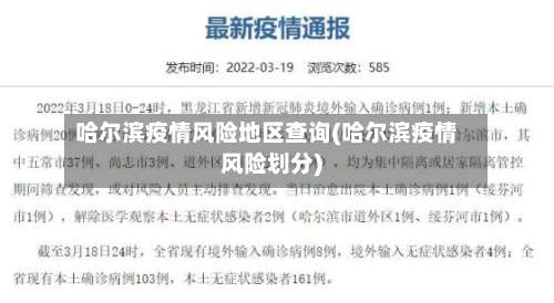 哈尔滨疫情风险地区查询(哈尔滨疫情风险划分)-第2张图片