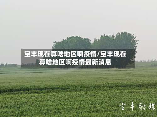 宝丰现在算啥地区啊疫情/宝丰现在算啥地区啊疫情最新消息-第1张图片
