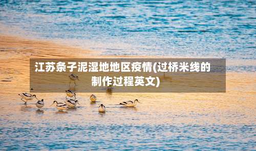 江苏条子泥湿地地区疫情(过桥米线的制作过程英文)-第1张图片