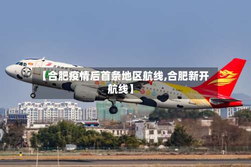 【合肥疫情后首条地区航线,合肥新开航线】-第1张图片