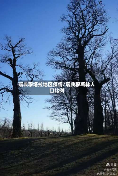 瑞典穆塔拉地区疫情/瑞典穆斯林人口比例-第1张图片