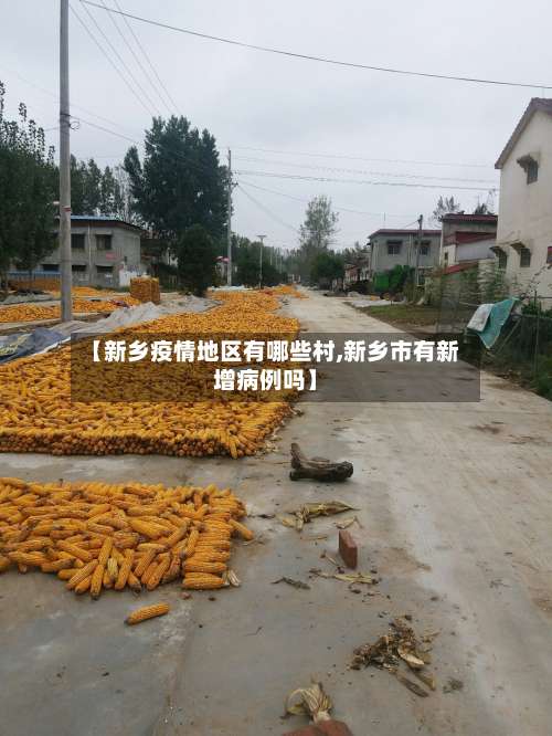 【新乡疫情地区有哪些村,新乡市有新增病例吗】-第2张图片