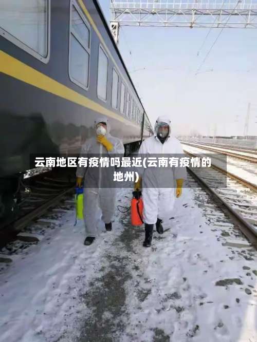 云南地区有疫情吗最近(云南有疫情的地州)-第2张图片