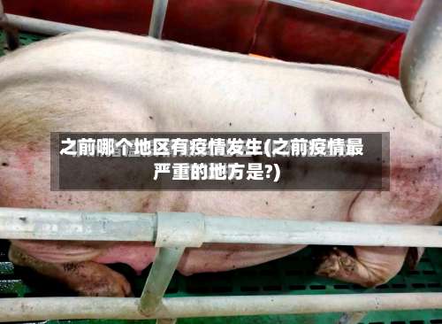 之前哪个地区有疫情发生(之前疫情最严重的地方是?)-第1张图片