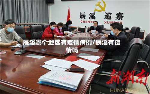 辰溪哪个地区有疫情病例/辰溪有疫情吗-第2张图片