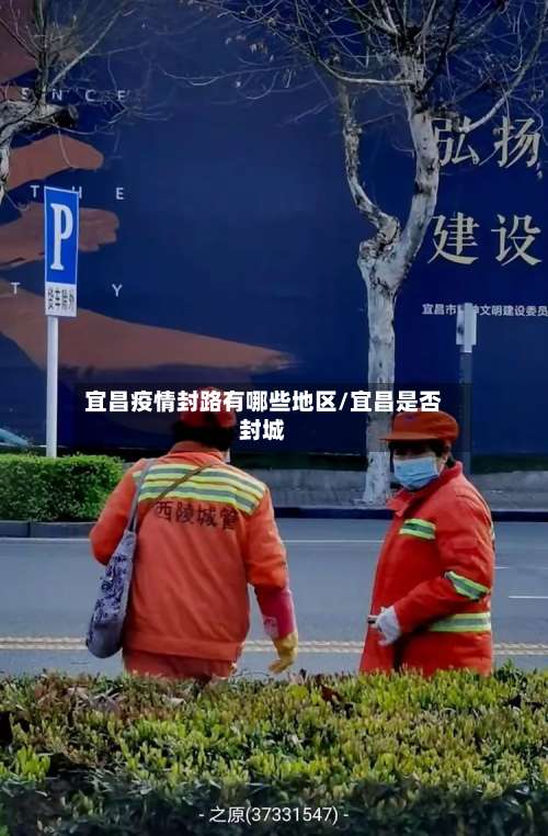 宜昌疫情封路有哪些地区/宜昌是否封城-第2张图片