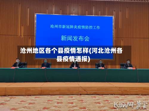 沧州地区各个县疫情怎样(河北沧州各县疫情通报)-第2张图片