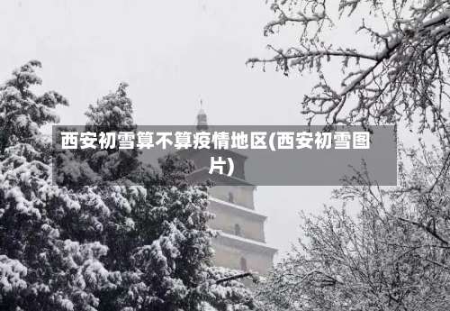 西安初雪算不算疫情地区(西安初雪图片)-第3张图片