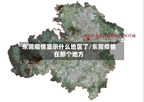 东莞疫情显示什么地区了/东莞疫情在那个地方-第1张图片