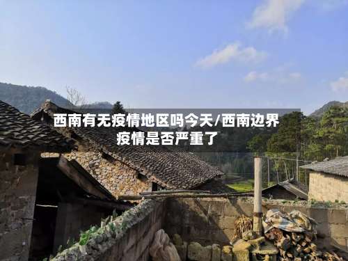 西南有无疫情地区吗今天/西南边界疫情是否严重了-第1张图片