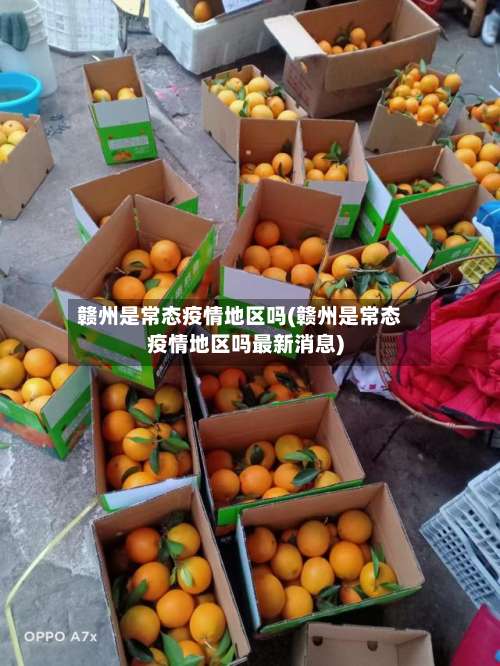 赣州是常态疫情地区吗(赣州是常态疫情地区吗最新消息)-第2张图片