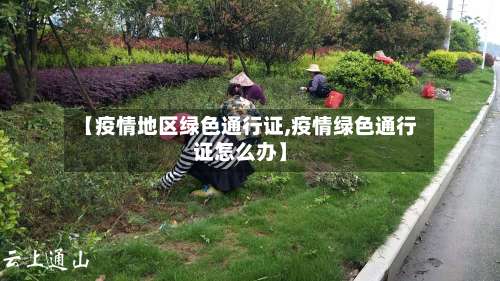【疫情地区绿色通行证,疫情绿色通行证怎么办】-第1张图片
